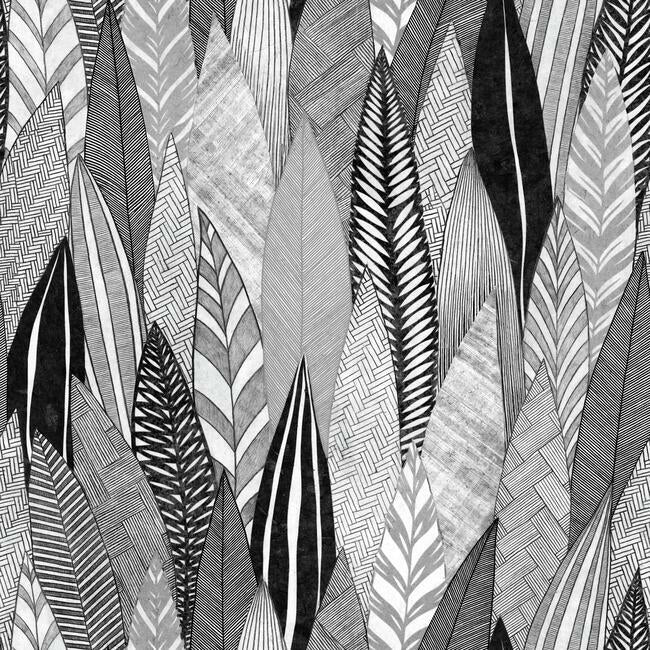 Fern & Feathers Peel and Stick Wallpaper