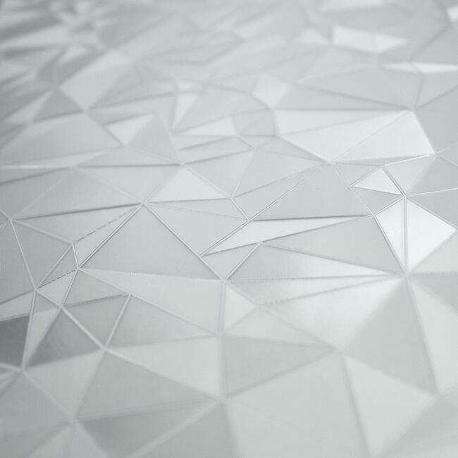 Etched Glass Privacy Window Film